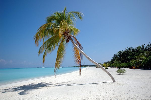 Discover the Perfect UK Cruise: Explore Renowned British Art Museums on Your Journey!