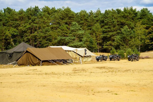 Discover the UK's Top Coastal Trails for Seal and Seabird Spotting Adventures!