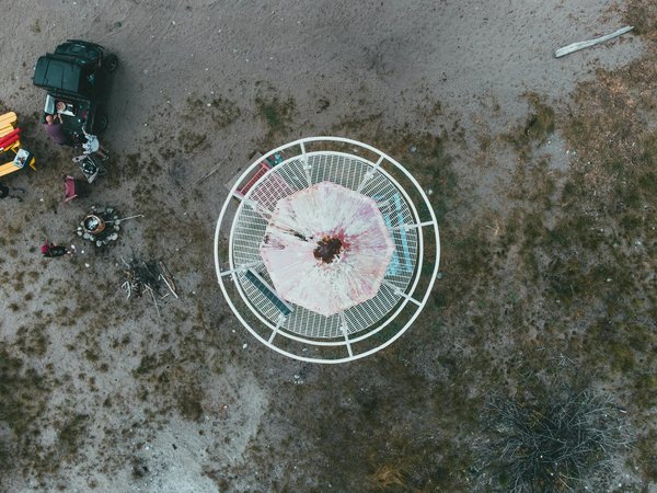 What are the best locations for seal watching in the UK?